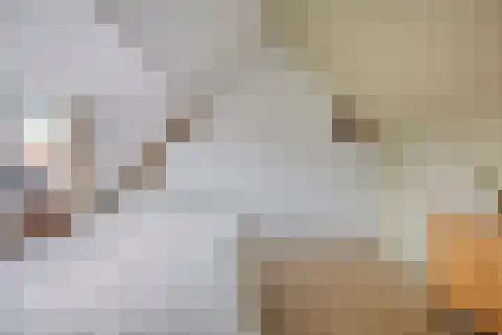 Zaan 20 Pijnacker thumbnail 27