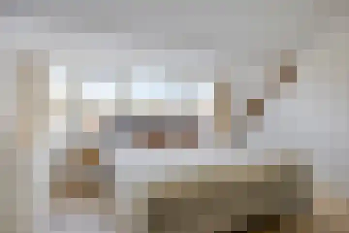 Zaan 20 Pijnacker thumbnail 28