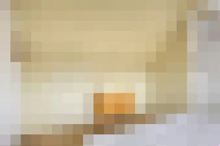 Zaan 20 Pijnacker thumbnail 30