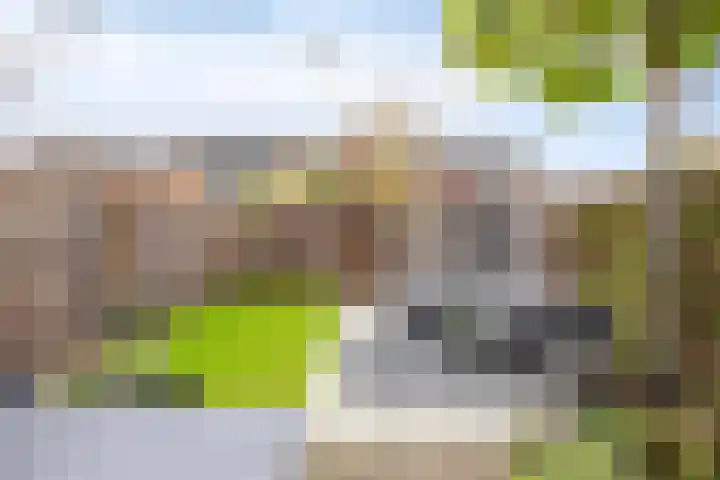 Zaan 20 Pijnacker thumbnail 31