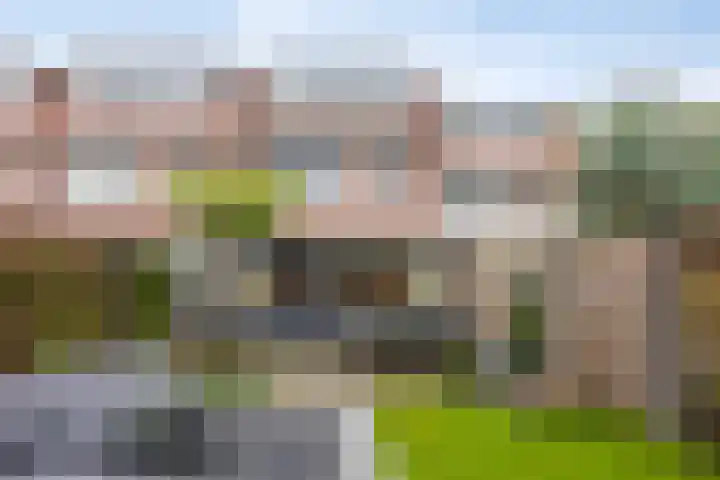 Zaan 20 Pijnacker thumbnail 33