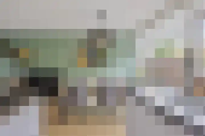 Zaan 21 Zwolle thumbnail 12
