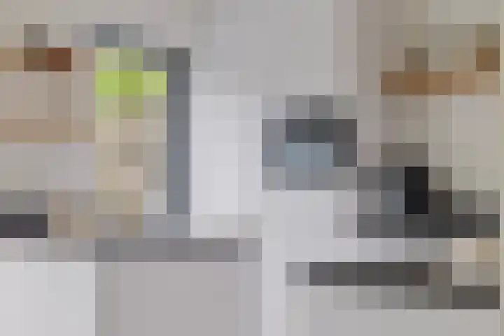 Zaan 21 Zwolle thumbnail 13