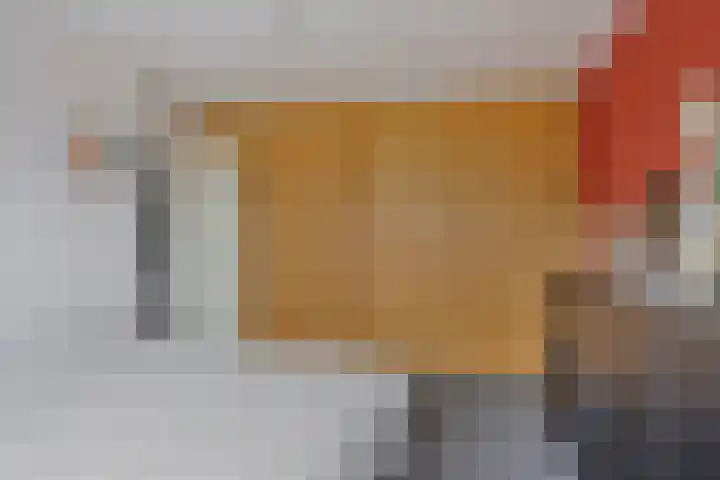 Zaan 21 Zwolle thumbnail 17
