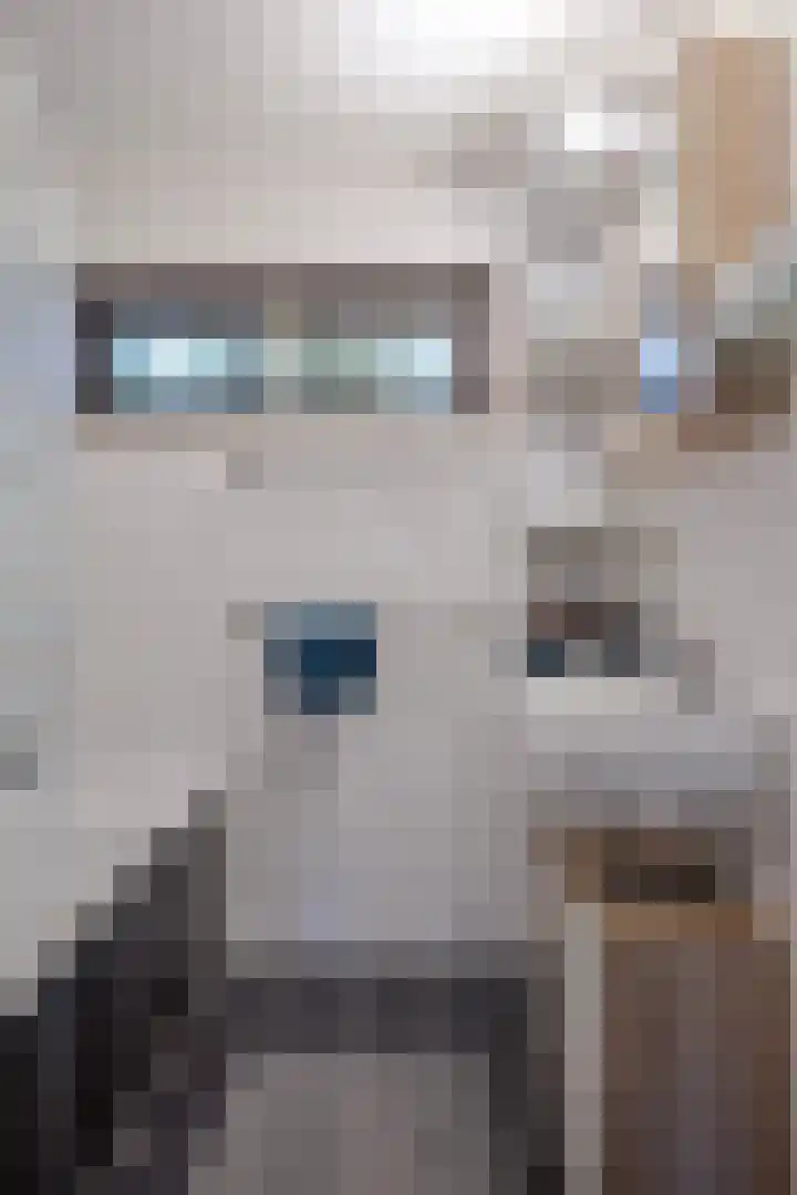 Zaan 21 Zwolle thumbnail 18