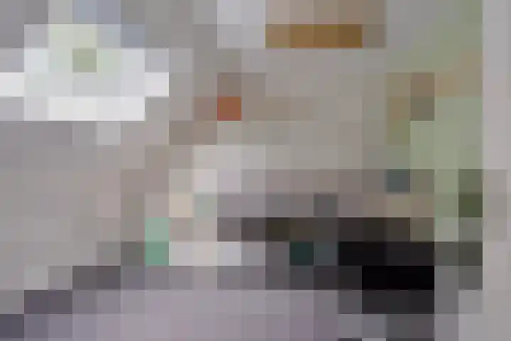 Zaan 21 Zwolle thumbnail 25