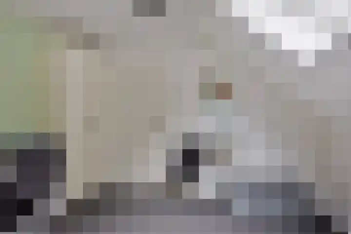 Zaan 21 Zwolle thumbnail 26