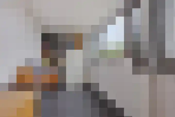 Zaan 21 Zwolle thumbnail 27