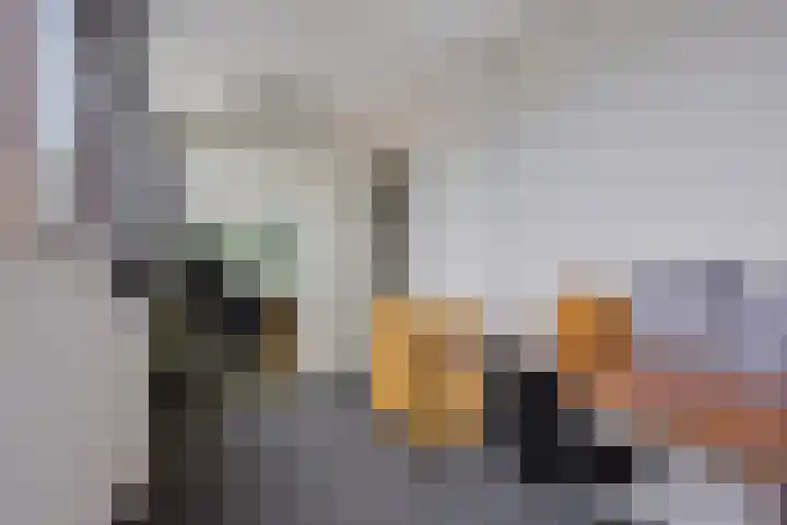 Zaan 21 Zwolle thumbnail 28