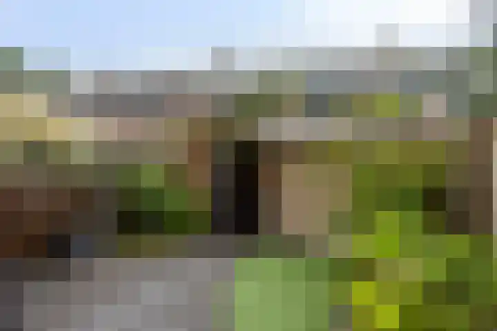 Zaan 21 Zwolle thumbnail 29