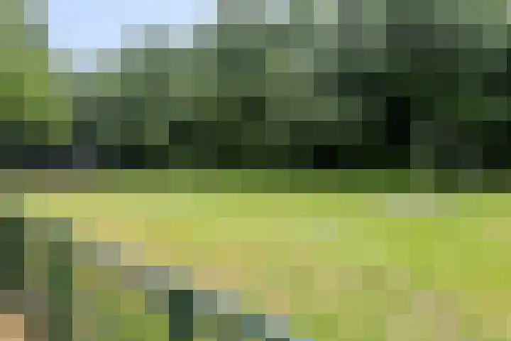 Zaan 21 Zwolle thumbnail 34