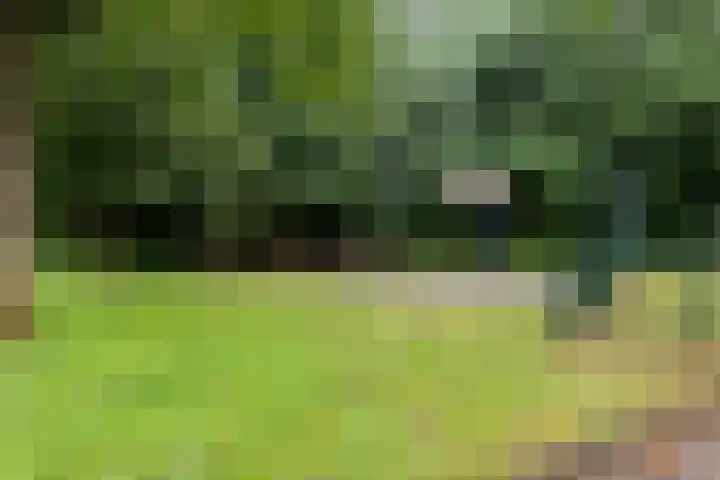 Zaan 21 Zwolle thumbnail 35