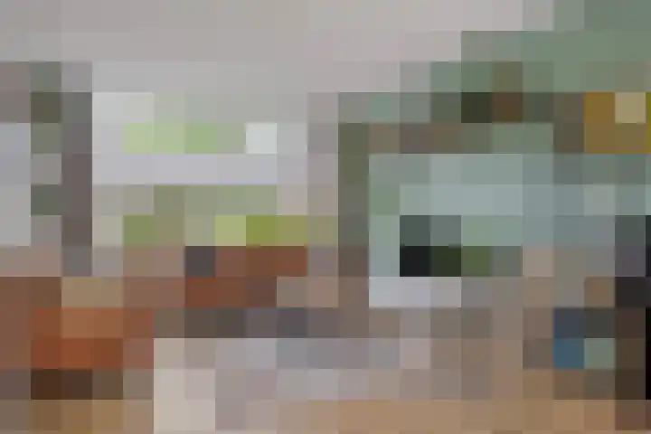 Zaan 21 Zwolle thumbnail 8