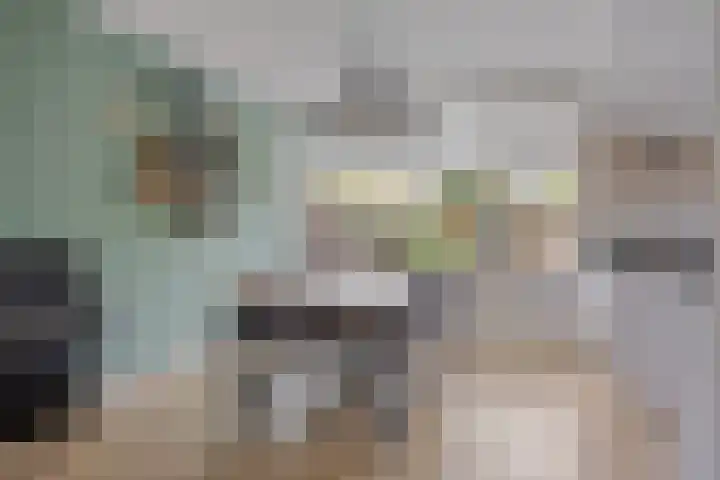 Zaan 21 Zwolle thumbnail 9