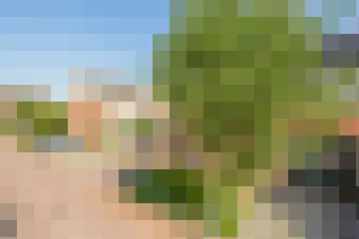 Zaan 28 Pijnacker thumbnail 26