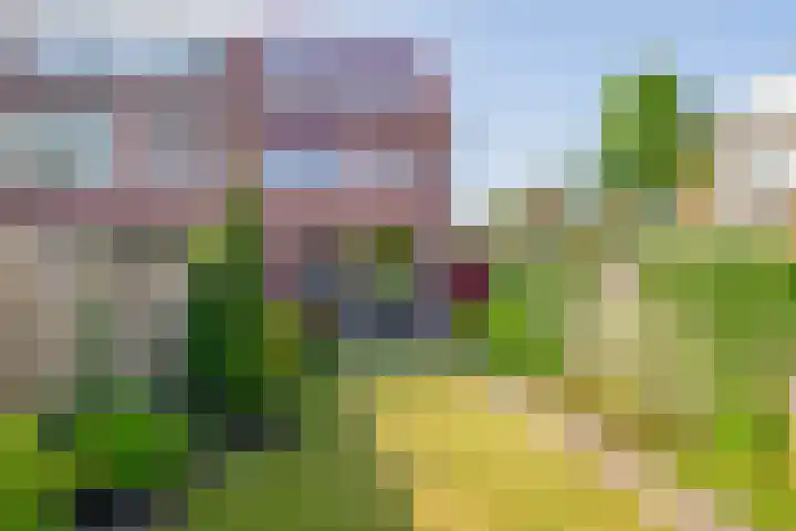 Zaan 28 Pijnacker thumbnail 7