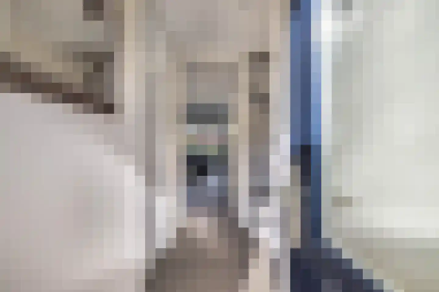 Zaan 3 Emmeloord thumbnail 13
