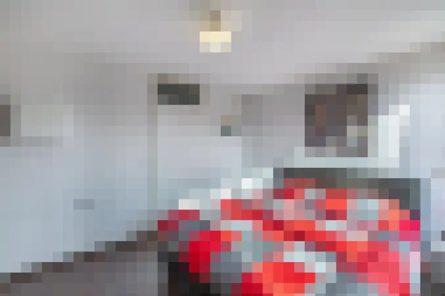 Zaan 3 Emmeloord thumbnail 16