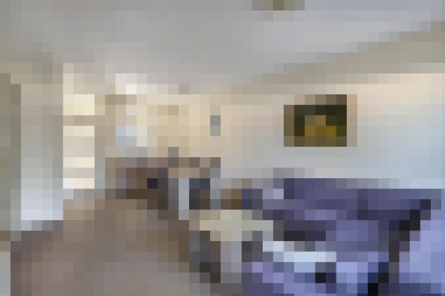Zaan 3 Emmeloord thumbnail 8