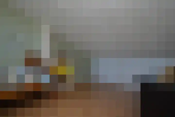 Zaan 39 Deurne thumbnail 21