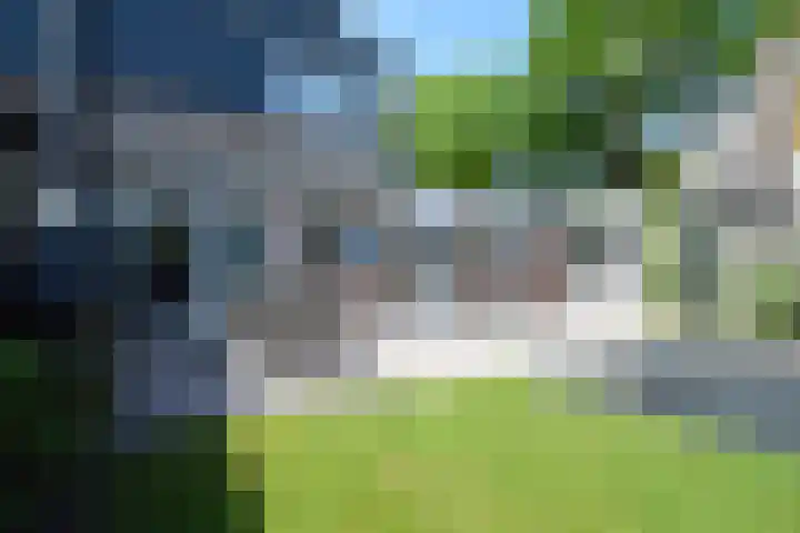 Zaan 39 Deurne thumbnail 24