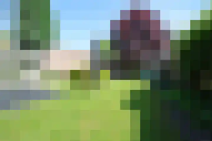 Zaan 39 Deurne thumbnail 25