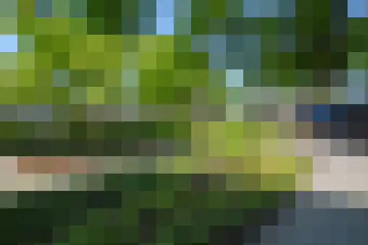 Zaan 39 Deurne thumbnail 27
