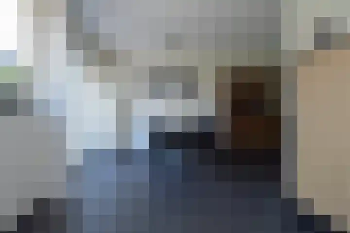 Zaan 39 Deurne thumbnail 5