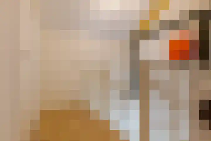Zaan 39 Deurne thumbnail 8