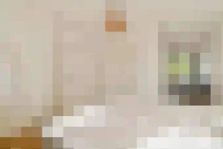 Zaanstraat 363 Amsterdam thumbnail 11