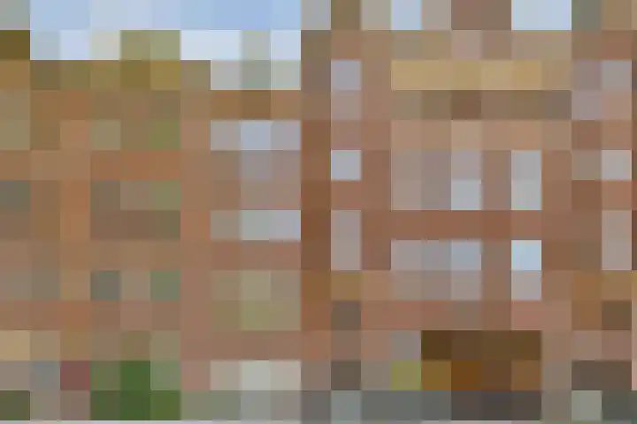 Zaanstraat 363 Amsterdam thumbnail 4