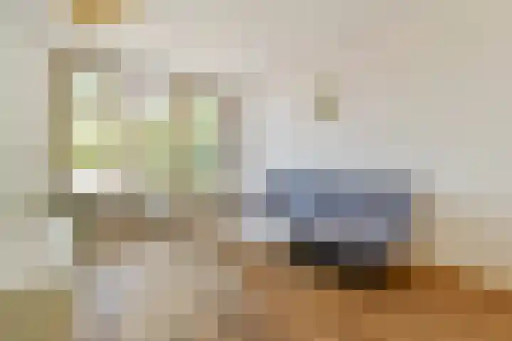 Zaanstraat 363 Amsterdam thumbnail 6