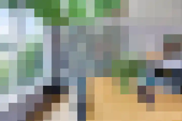 Zaanstraat 9 Assen thumbnail 12