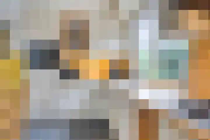 Zaanstraat 9 Assen thumbnail 15