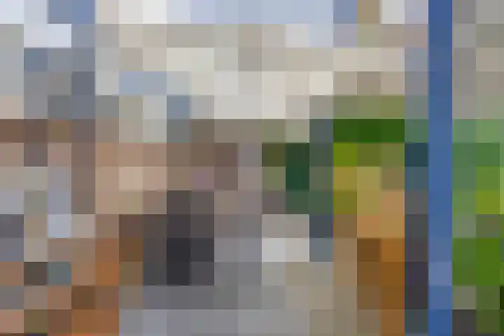 Zaanstraat 9 Assen thumbnail 30
