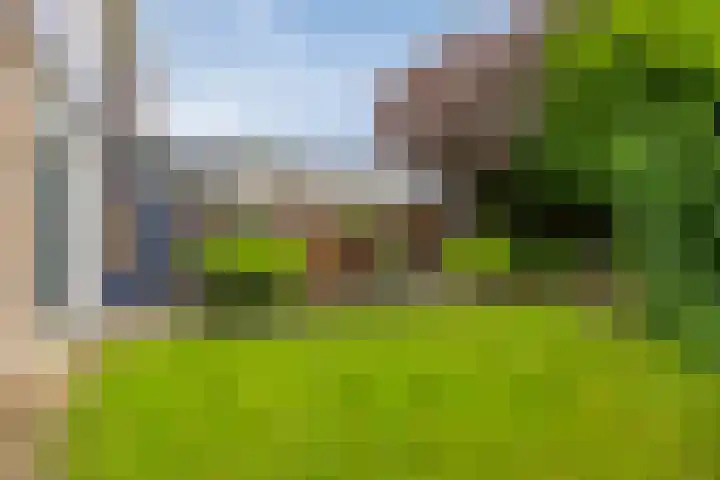 Zaanstraat 9 Assen thumbnail 36