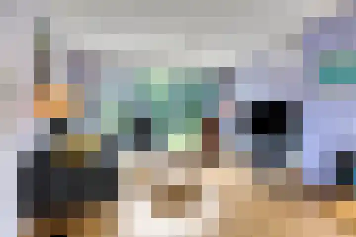 Zaanstraat 9 Assen thumbnail 5