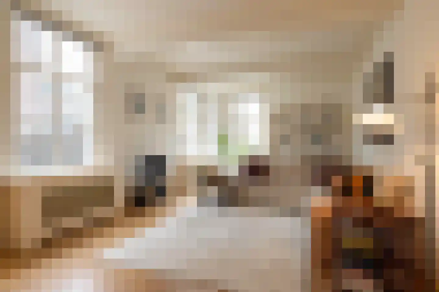 Zaanweg 24 Wormerveer thumbnail 10