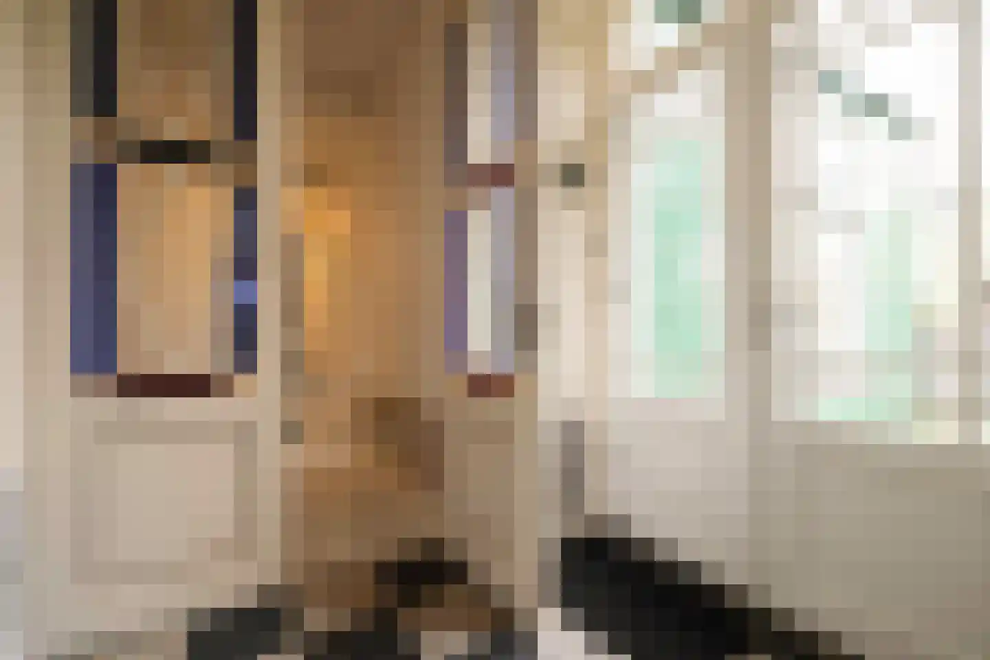 Zaanweg 24 Wormerveer thumbnail 12