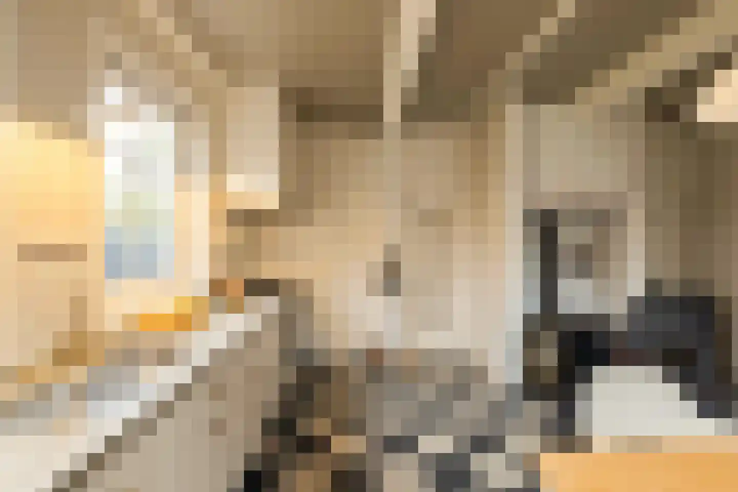 Zaanweg 24 Wormerveer thumbnail 20