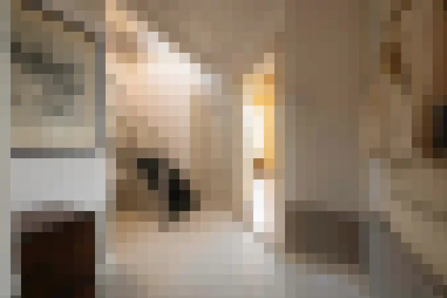 Zaanweg 24 Wormerveer thumbnail 23