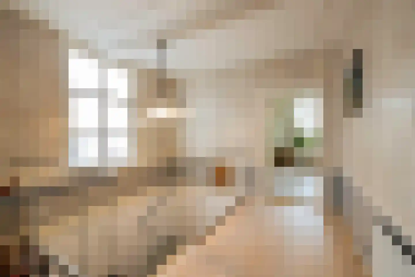 Zaanweg 24 Wormerveer thumbnail 24