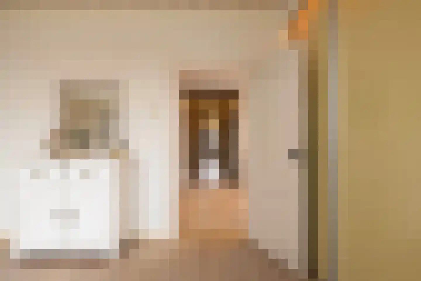 Zaanweg 24 Wormerveer thumbnail 28