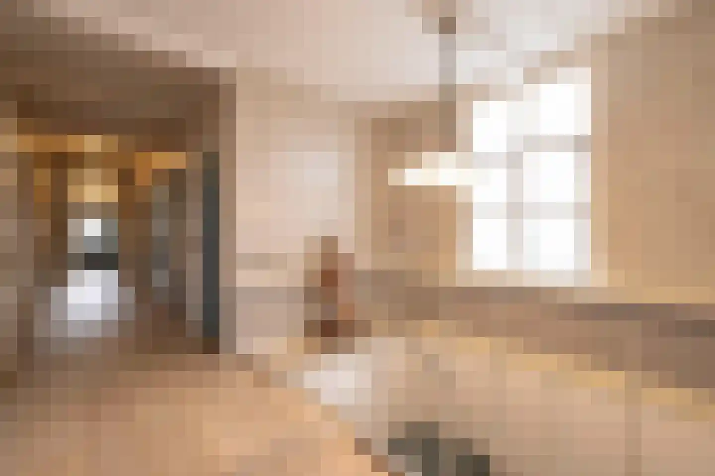 Zaanweg 24 Wormerveer thumbnail 29