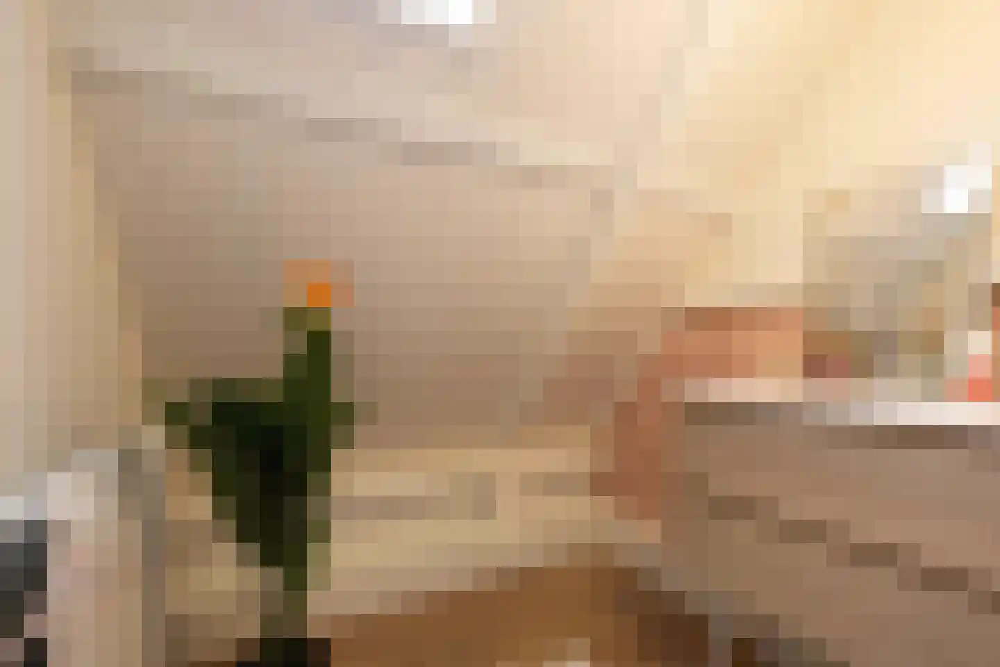 Zaanweg 24 Wormerveer thumbnail 35