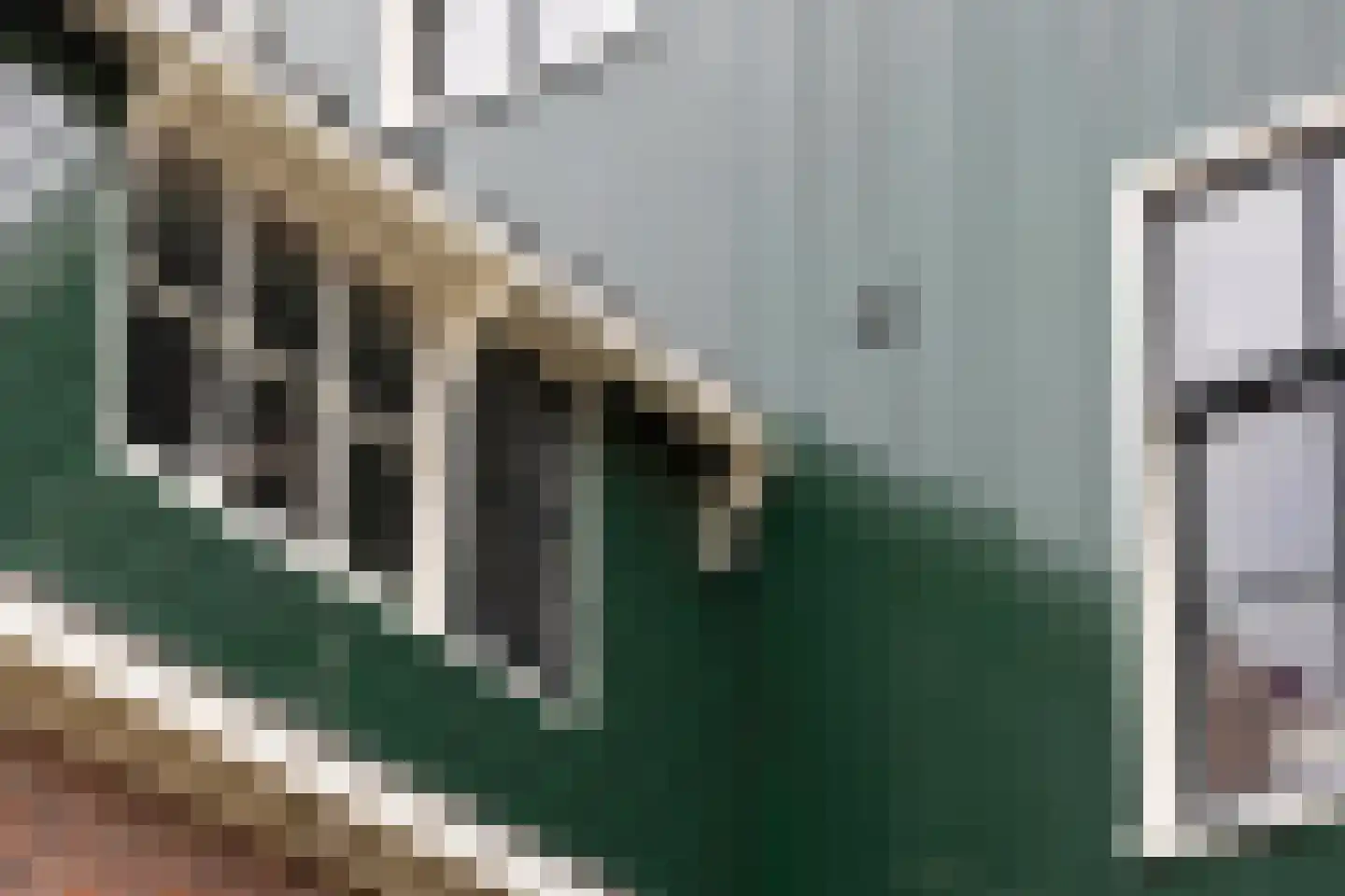 Zaanweg 24 Wormerveer thumbnail 48
