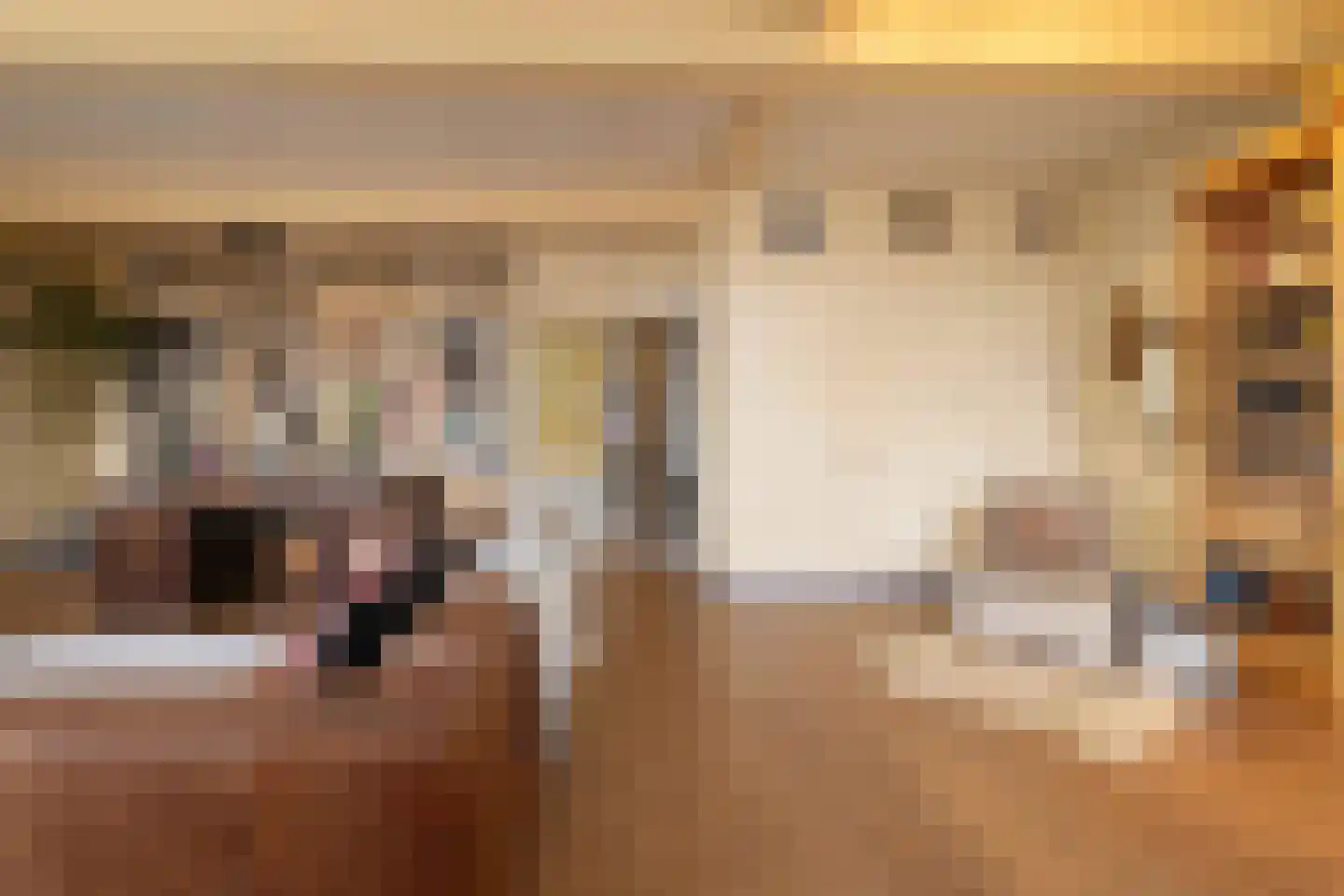 Zaanweg 24 Wormerveer thumbnail 8