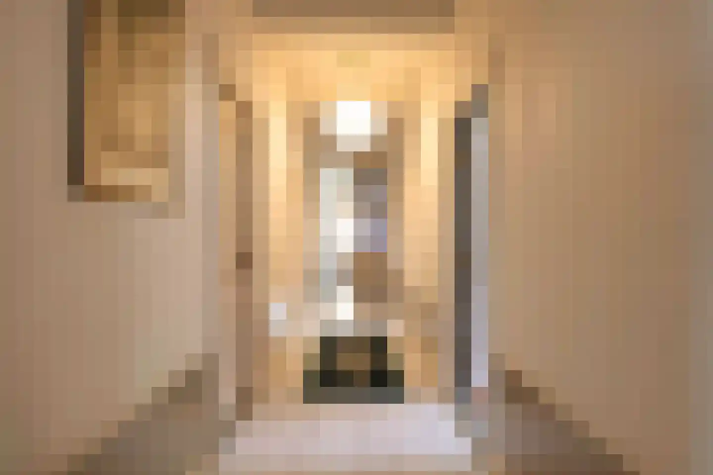 Zaanweg 24 Wormerveer thumbnail 9