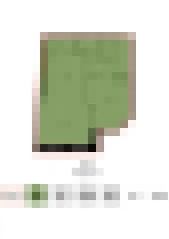 Zaanweg 66 E Wormerveer thumbnail 32