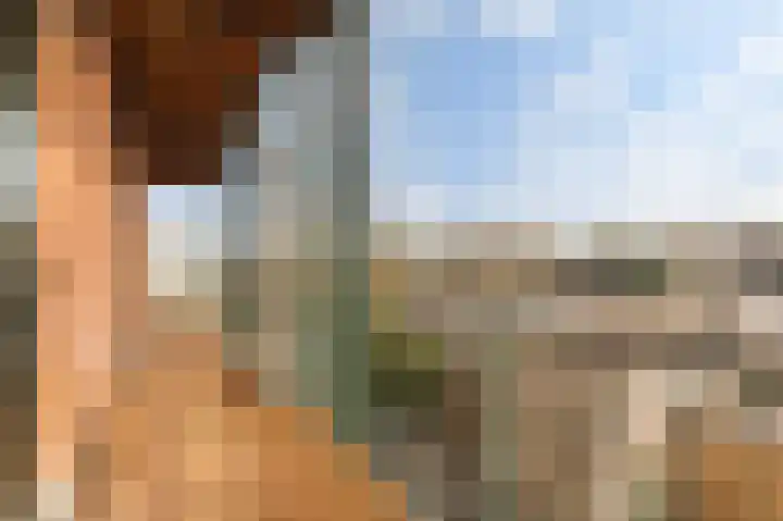 Zaanweg 67 E Wormerveer thumbnail 13